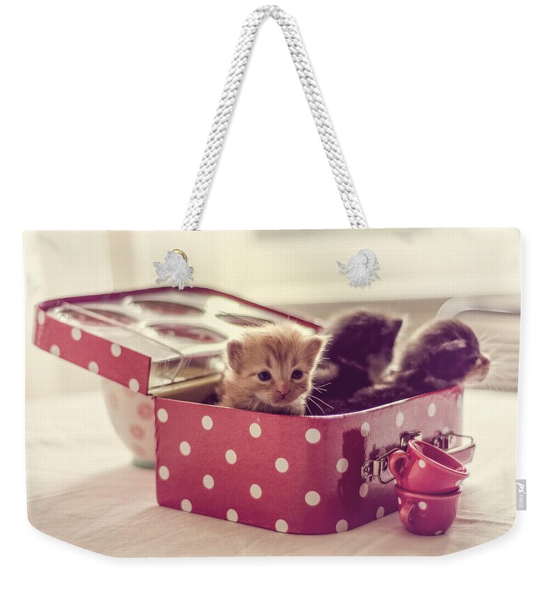 Two Weekender Tote Bag featuring the photograph Three for Tea by Spikey Mouse Photography