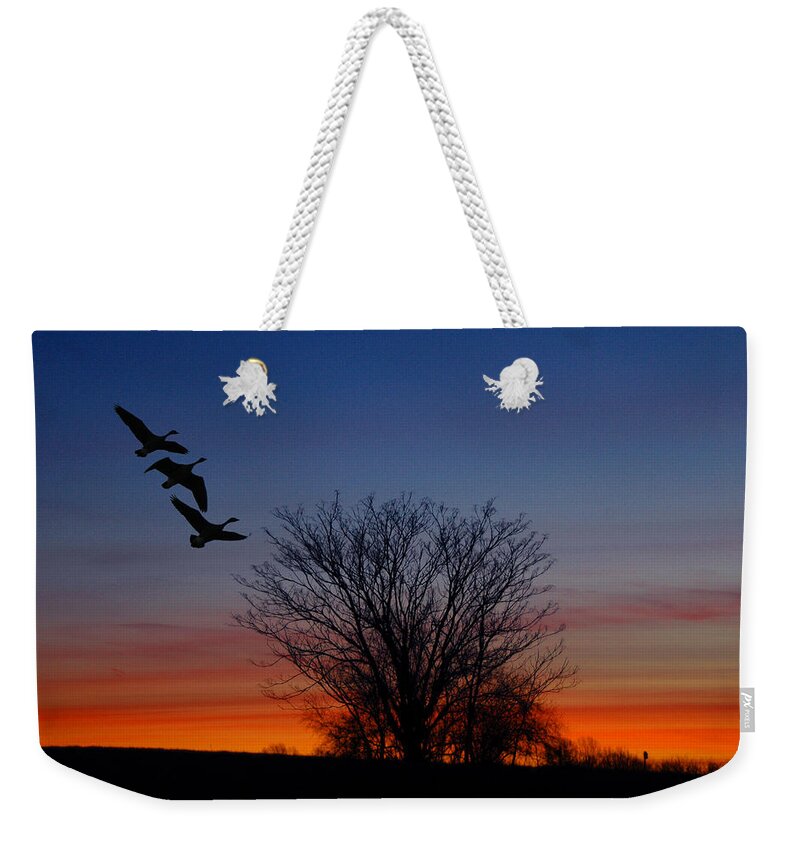 Three Geese At Sunset Weekender Tote Bag featuring the photograph Three Geese at Sunset by Raymond Salani III