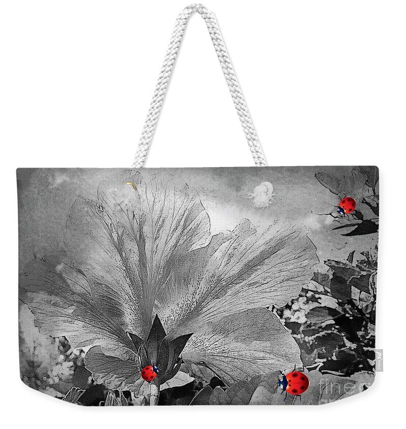 Three Ladybugs Weekender Tote Bag featuring the photograph Three Ladybugs by Maria Urso