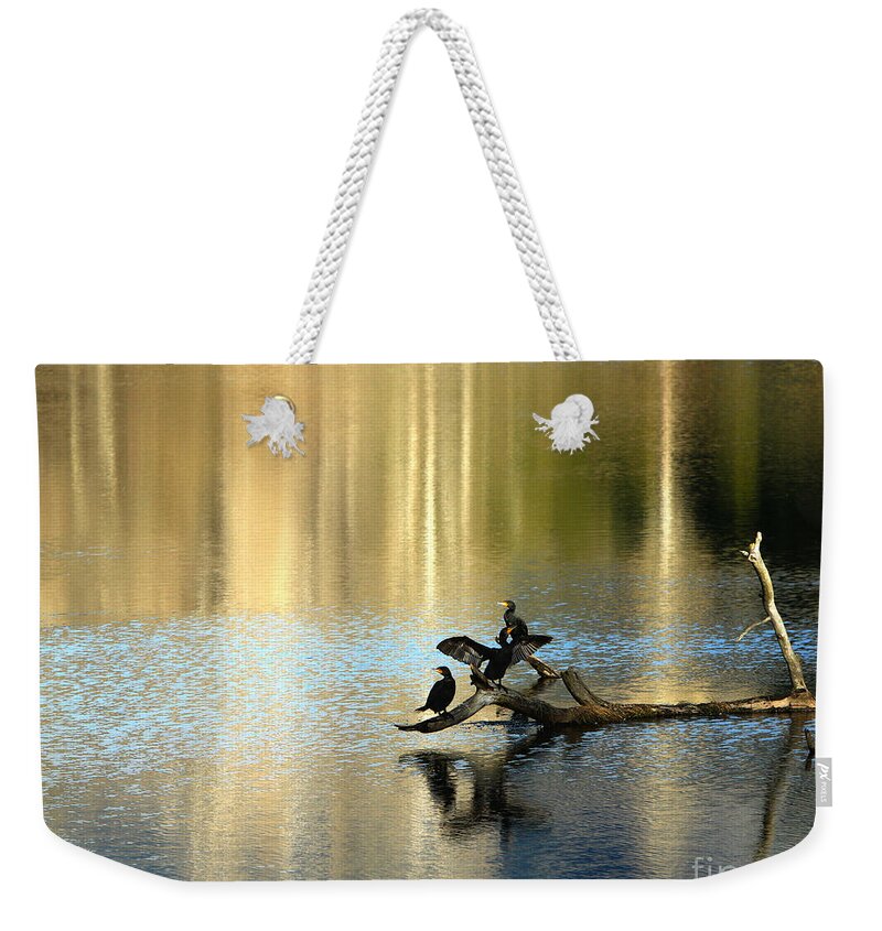 Cormorant Weekender Tote Bag featuring the photograph Go Your Own Way by Michelle Twohig