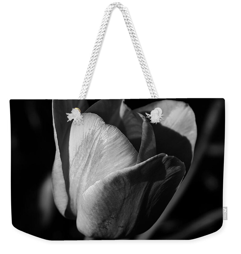 Midwest America Weekender Tote Bag featuring the photograph Threshold - Monochrome by Frank J Casella