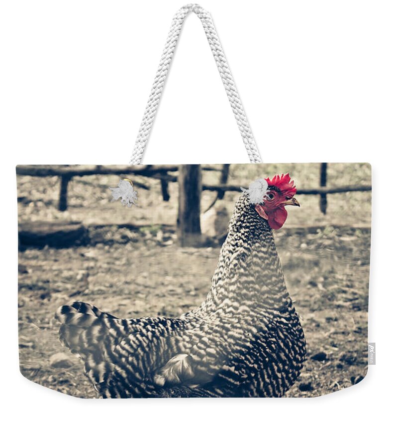 Animal Weekender Tote Bag featuring the photograph Through the Barb Wire Fence - Sally by Trish Mistric