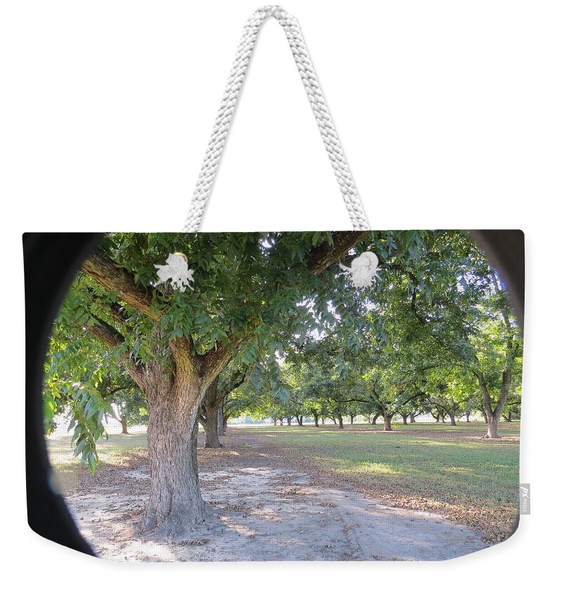 Pecan Weekender Tote Bag featuring the photograph Through The Orchard by Aaron Martens