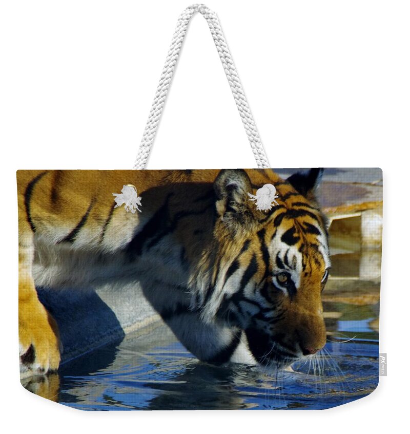 Lions Tigers And Bears Weekender Tote Bag featuring the photograph Tiger 2 by Phyllis Spoor