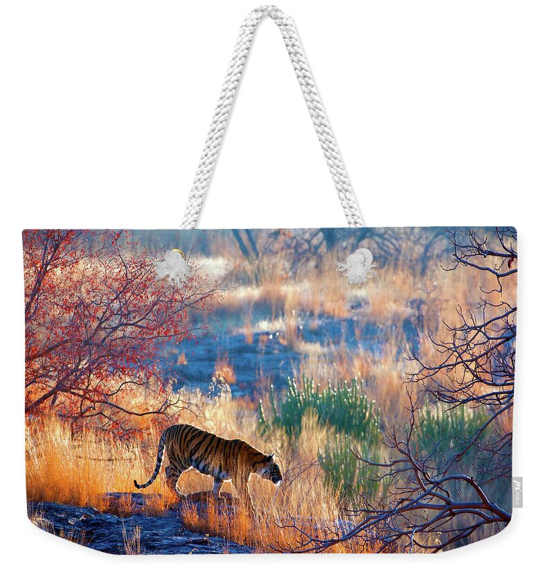 Ranthambore National Park Weekender Tote Bag featuring the photograph Tiger Country by Eromaze