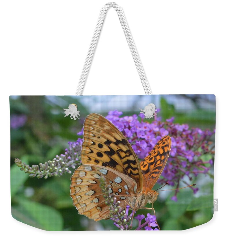 Speyeria Aphrodite Weekender Tote Bag featuring the photograph Tiger Moth speyeria aphrodite feeding on Butterfly Bush by Stacie Siemsen