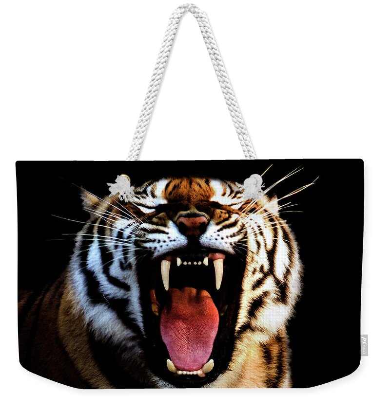 Big Cat Weekender Tote Bag featuring the photograph Tiger by Pvicens
