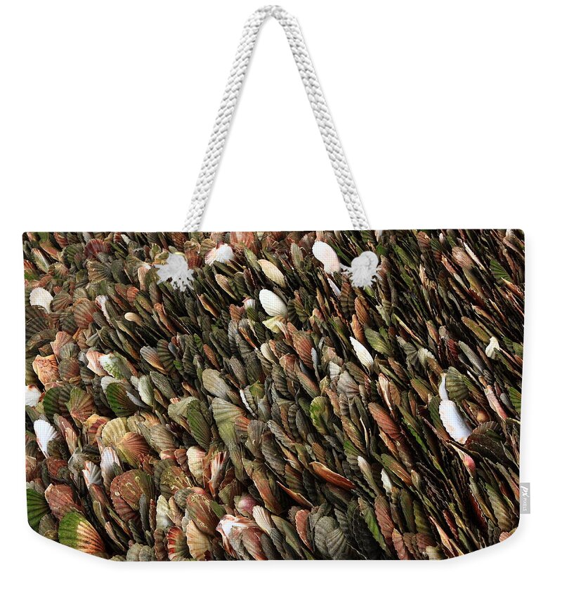 Shells Weekender Tote Bag featuring the photograph Tightly Packed Seashells by Aidan Moran