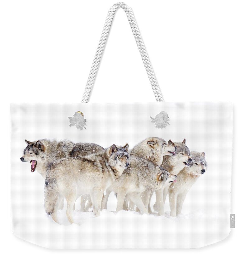 Animal Themes Weekender Tote Bag featuring the photograph Timber Wolf Family by Jim Cumming