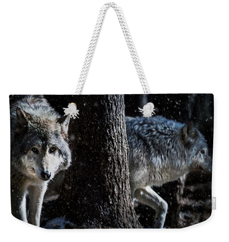Wolf Weekender Tote Bag featuring the photograph Timber Wolves in the snow by Tracy Munson