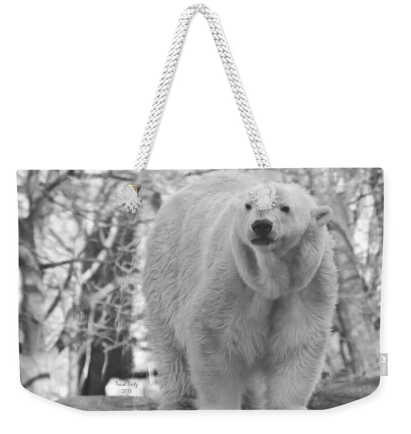 Bear Weekender Tote Bag featuring the mixed media Time For A Dip by Trish Tritz