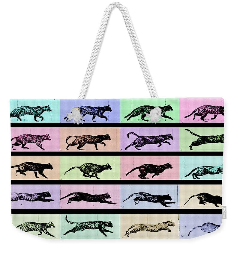 Cat Weekender Tote Bag featuring the painting Time Lapse Motion Study Cat Black and Color by Tony Rubino
