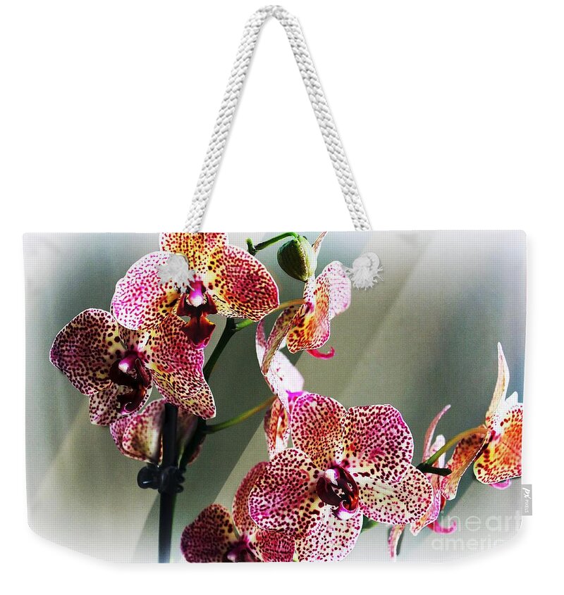 Orchid Weekender Tote Bag featuring the photograph Timeless Orchid by Judy Palkimas