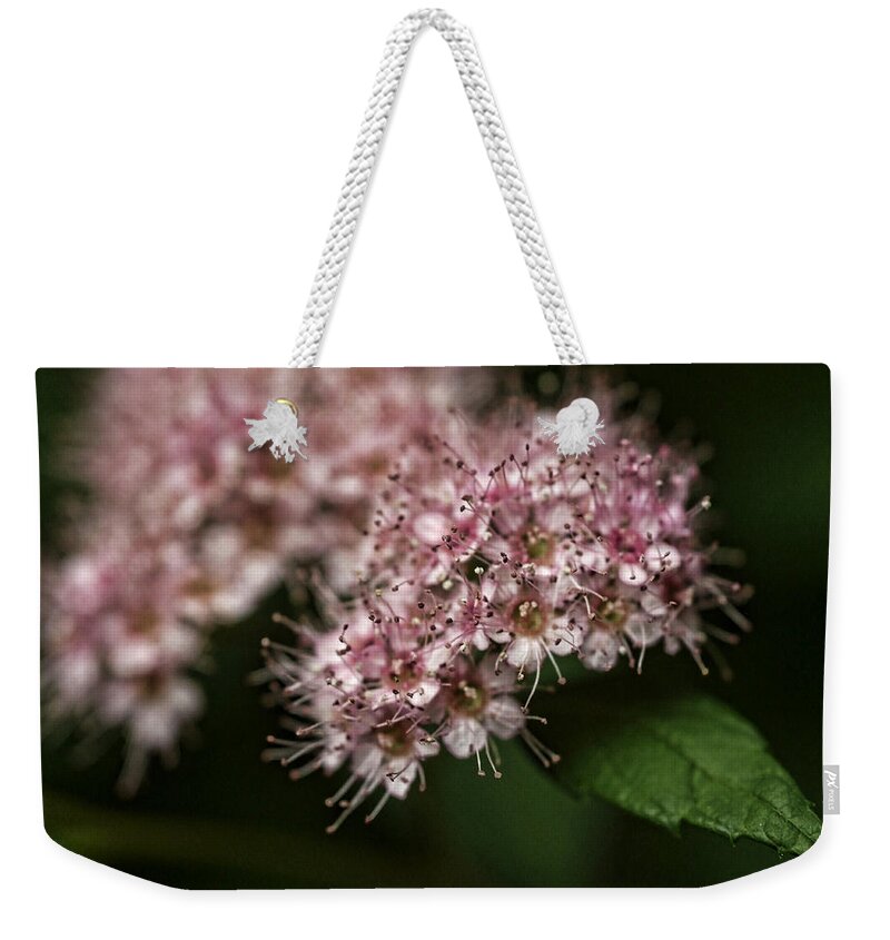 Flowers Weekender Tote Bag featuring the photograph Tiny flowers by Michael McGowan