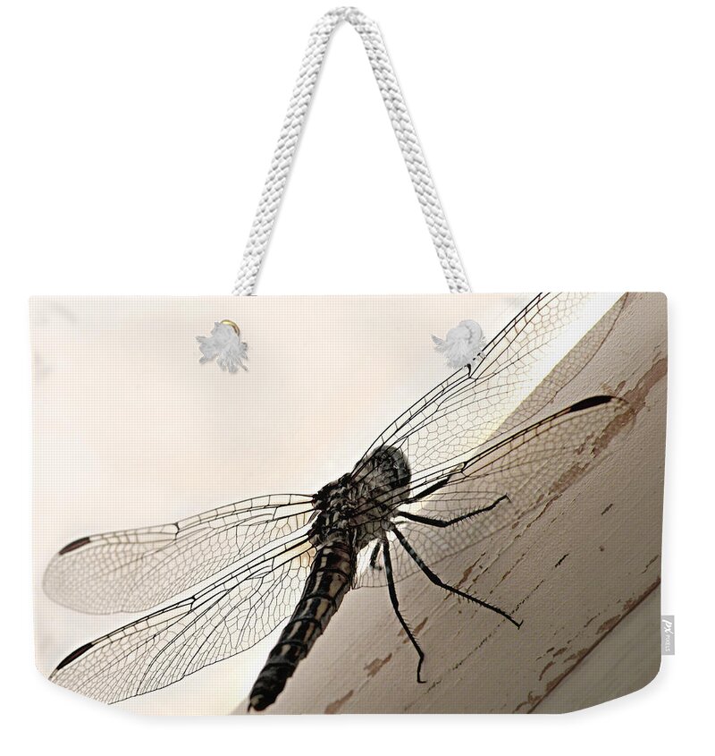 Tiny Magnificence Weekender Tote Bag featuring the photograph Tiny Magnificence by Micki Findlay