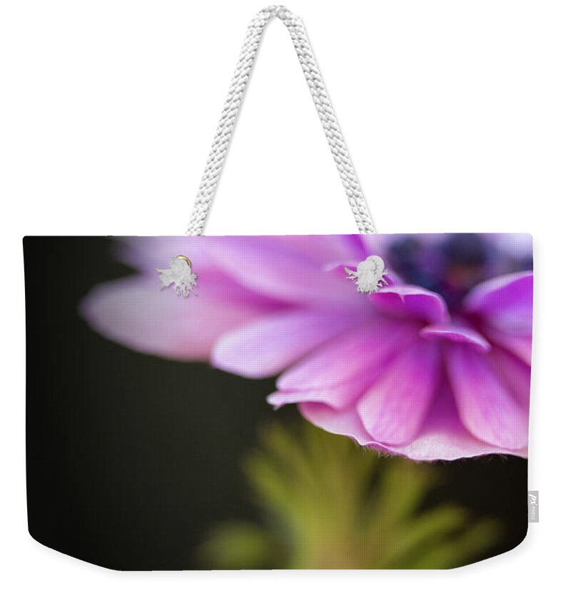 Anemone Weekender Tote Bag featuring the photograph Tips by Caitlyn Grasso