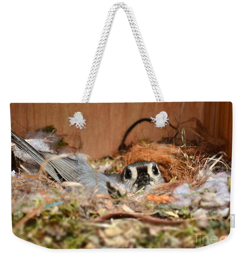 Titmouse Weekender Tote Bag featuring the photograph Titmouse Nesting by Kathy Baccari