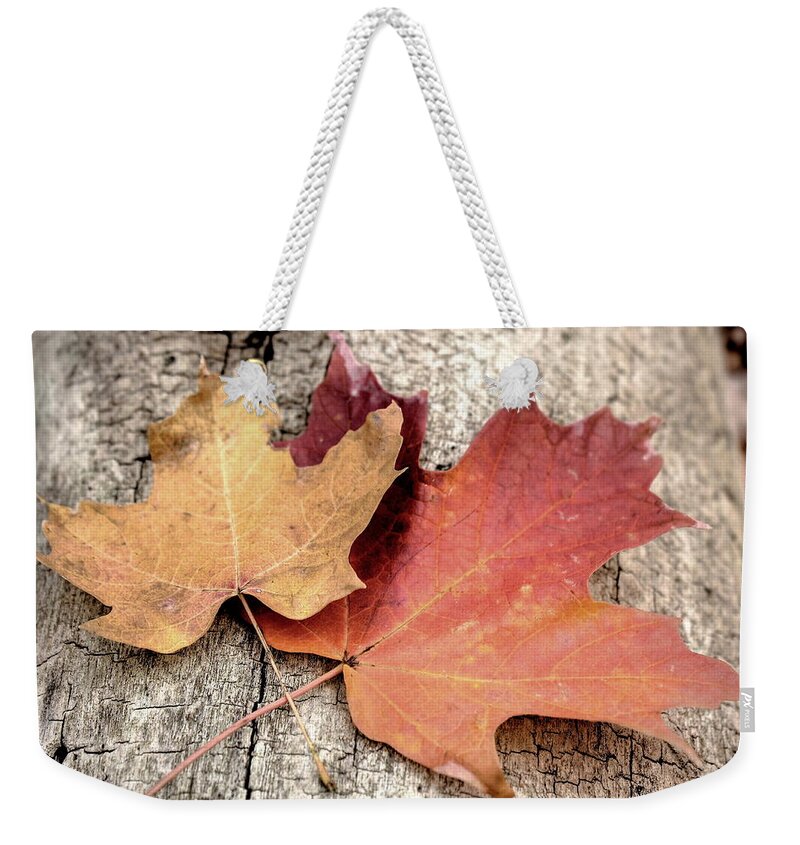 Fall Weekender Tote Bag featuring the photograph Together by Andrea Platt