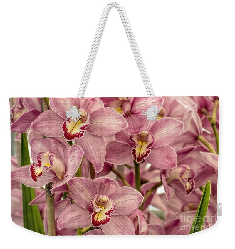 Pink Weekender Tote Bag featuring the photograph Togetherness by Peggy Hughes