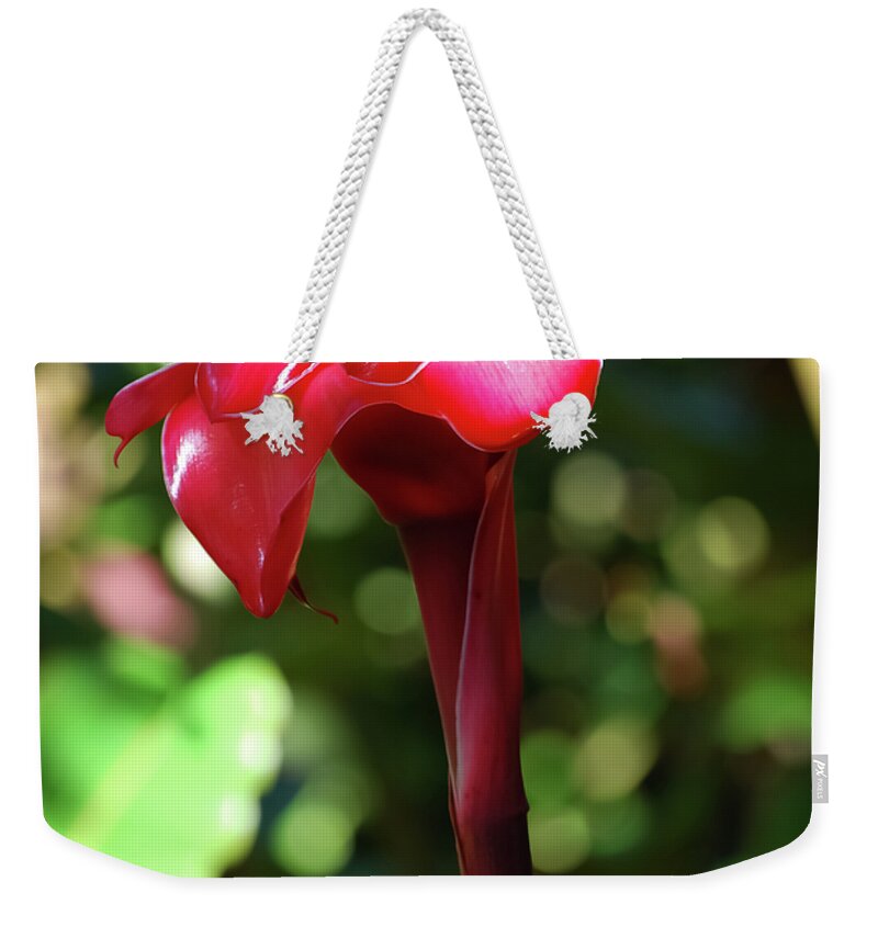 Arboretum Weekender Tote Bag featuring the photograph Torch Ginger by Christi Kraft