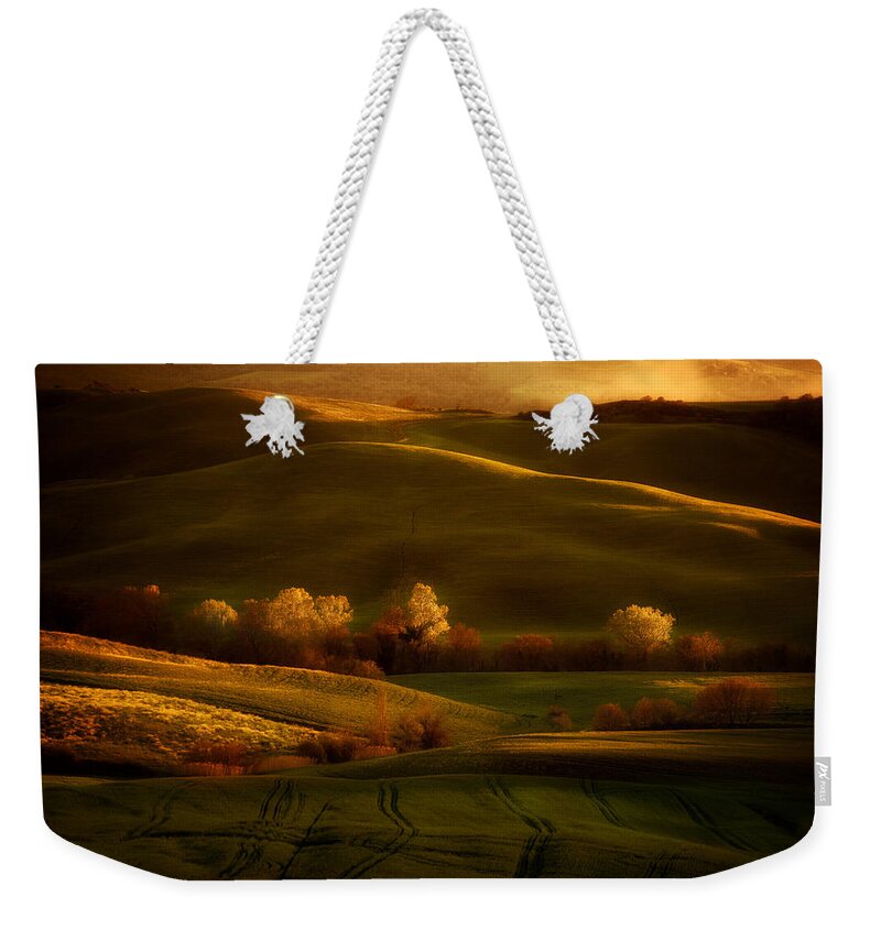 Toskany Weekender Tote Bag featuring the photograph Golden fields of val d'Orcia by Jaroslaw Blaminsky