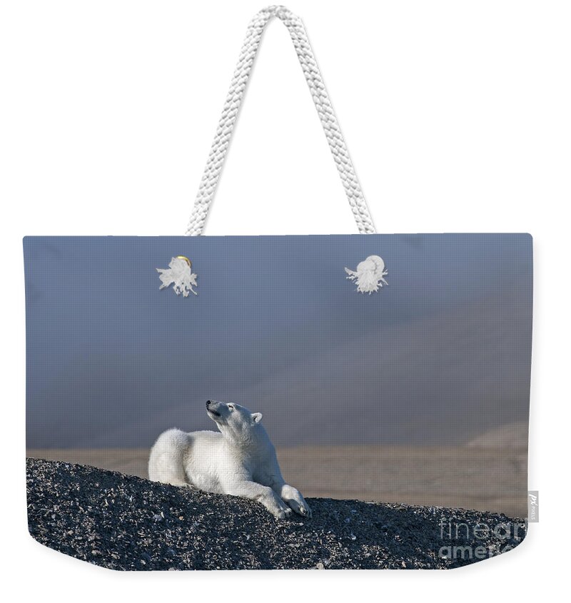 Arctic Weekender Tote Bag featuring the photograph Total Bliss.. by Nina Stavlund