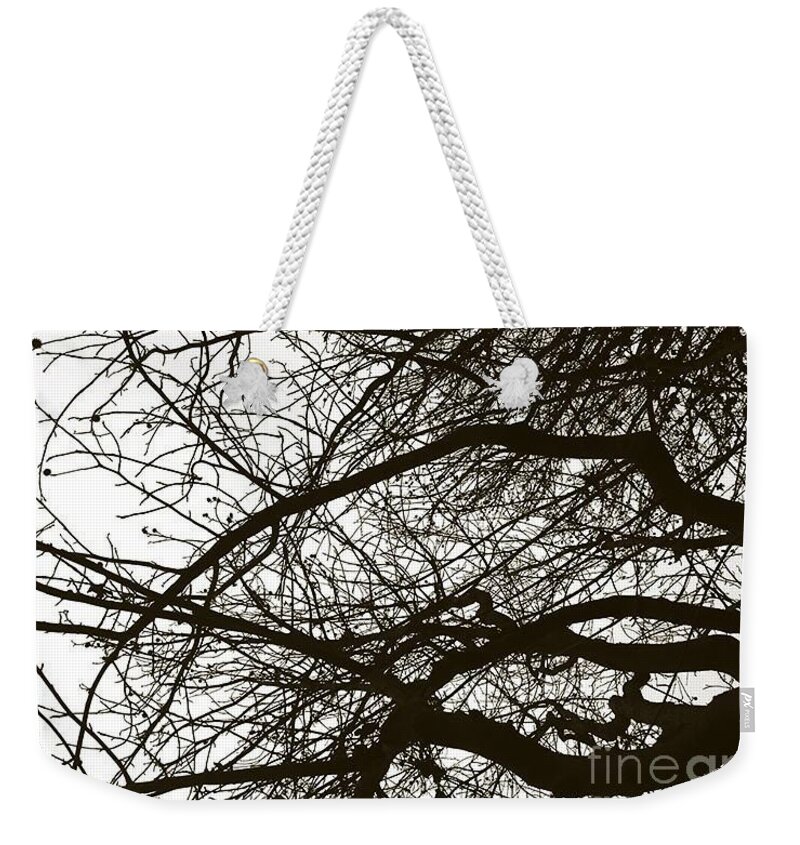 Black And White Photography Weekender Tote Bag featuring the photograph Touching the sky by Fei A