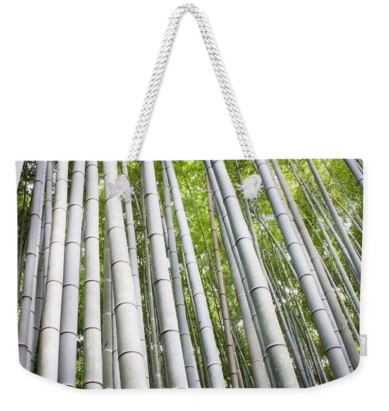 Trees Weekender Tote Bag featuring the photograph Toward The Light by Christie Kowalski