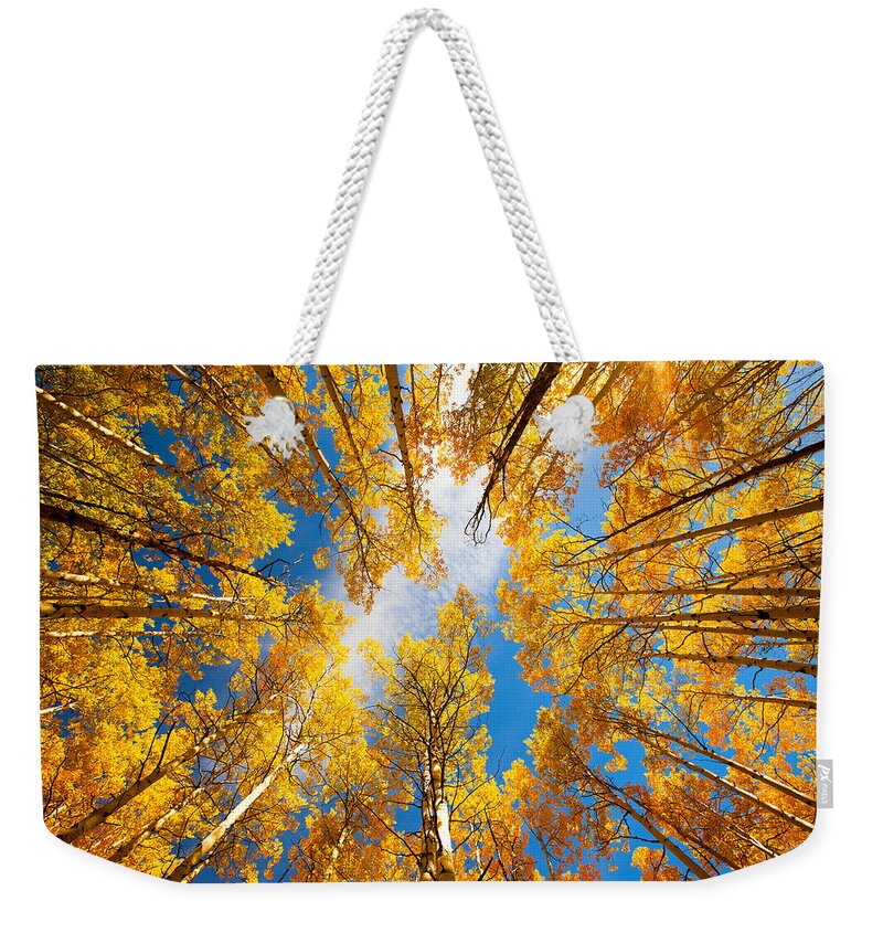 Aspens Weekender Tote Bag featuring the photograph Towering Aspens by Darren White