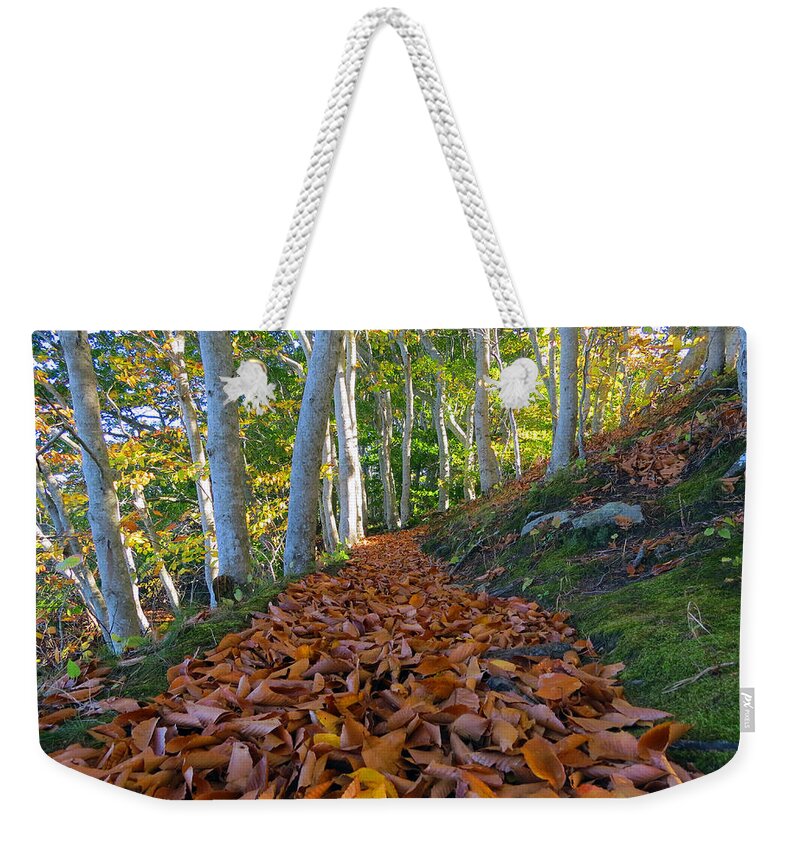 Nature Weekender Tote Bag featuring the photograph Trailblazing by Dianne Cowen Cape Cod Photography