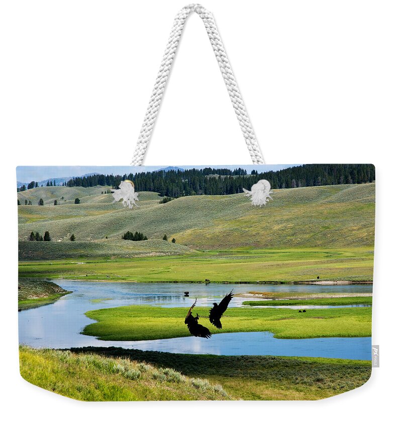 Eagles Weekender Tote Bag featuring the photograph Training Ground Eagles by Randall Branham