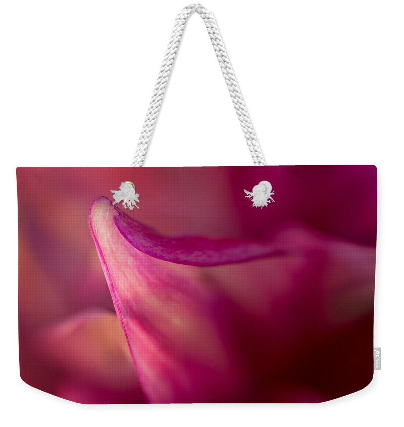 Floral Weekender Tote Bag featuring the photograph Translucent by Mary Jo Allen