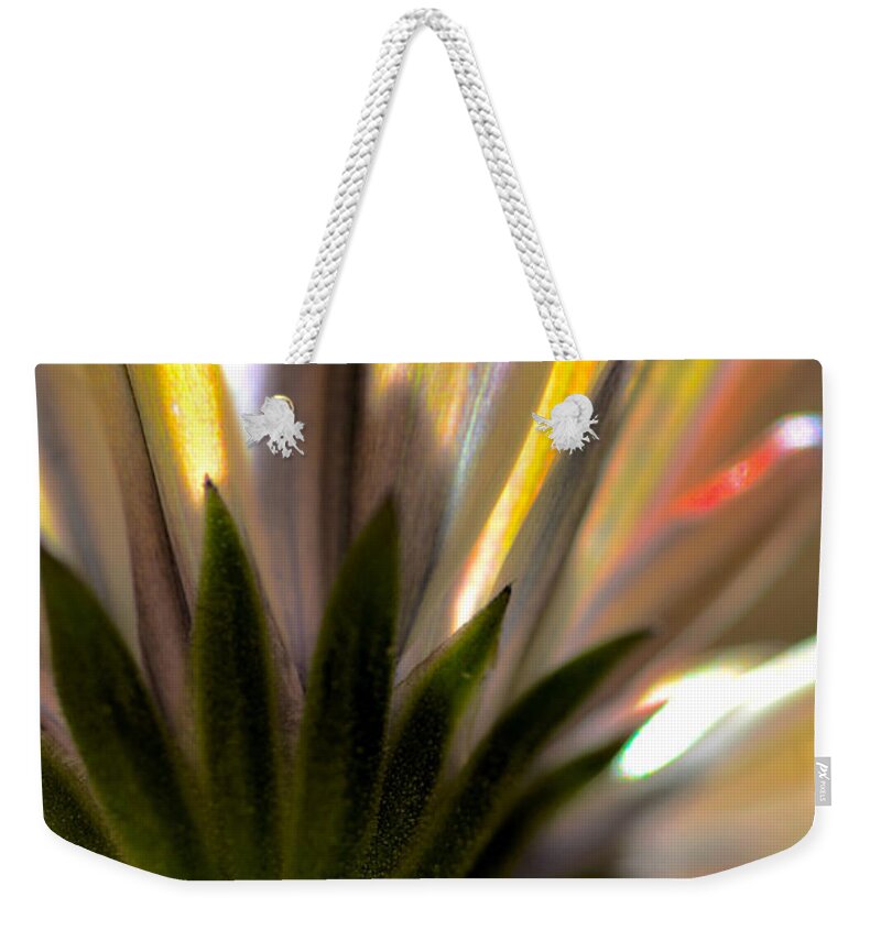 Flower Petals Weekender Tote Bag featuring the photograph Transparency by Deb Halloran