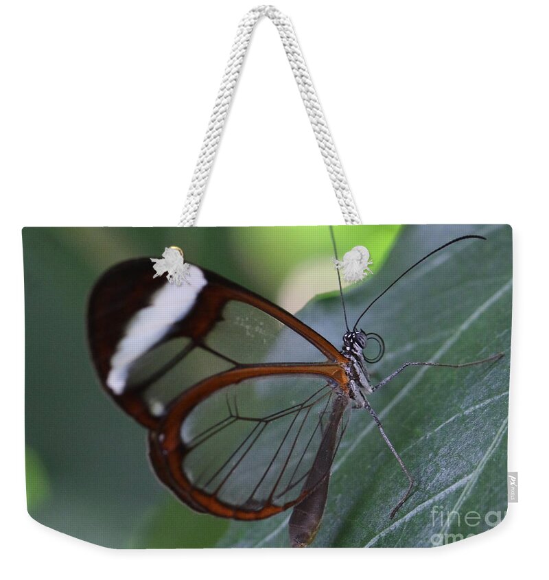Butterfly Weekender Tote Bag featuring the photograph Transparent Butterfly by Amanda Mohler