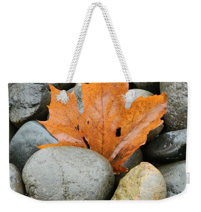 Autumn Weekender Tote Bag featuring the photograph Trapped by Gallery Of Hope 