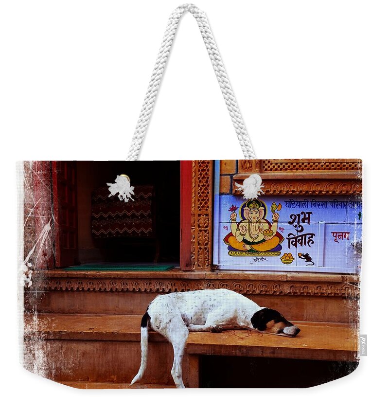 Dog Weekender Tote Bag featuring the photograph Travel Sleepy Happy Doggie Jaisalmer Fort India Rajasthan by Sue Jacobi