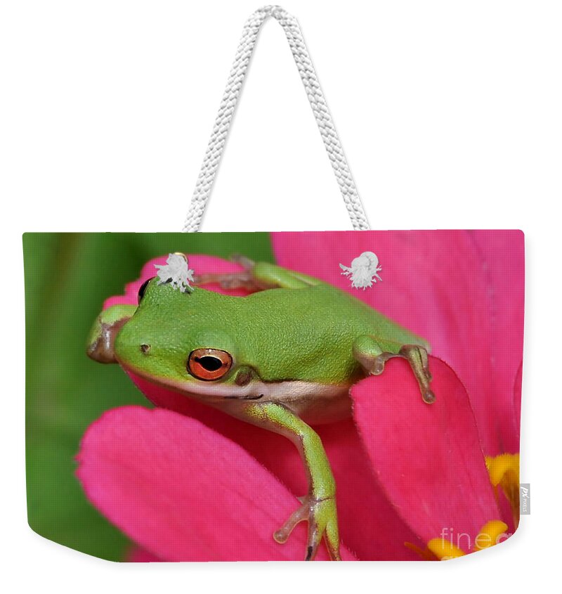Frog Weekender Tote Bag featuring the photograph Tree Frog On A Pink Flower by Kathy Baccari