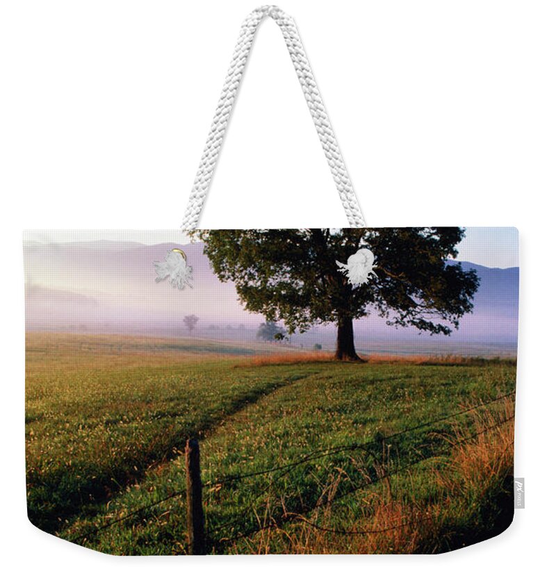 Shadow Weekender Tote Bag featuring the photograph Tree In Paddock, Cades Cove by John Elk