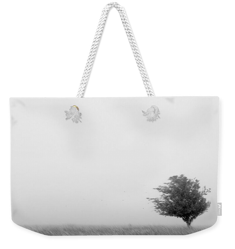 Landscape Weekender Tote Bag featuring the photograph Tree in the Wind by Mike McGlothlen
