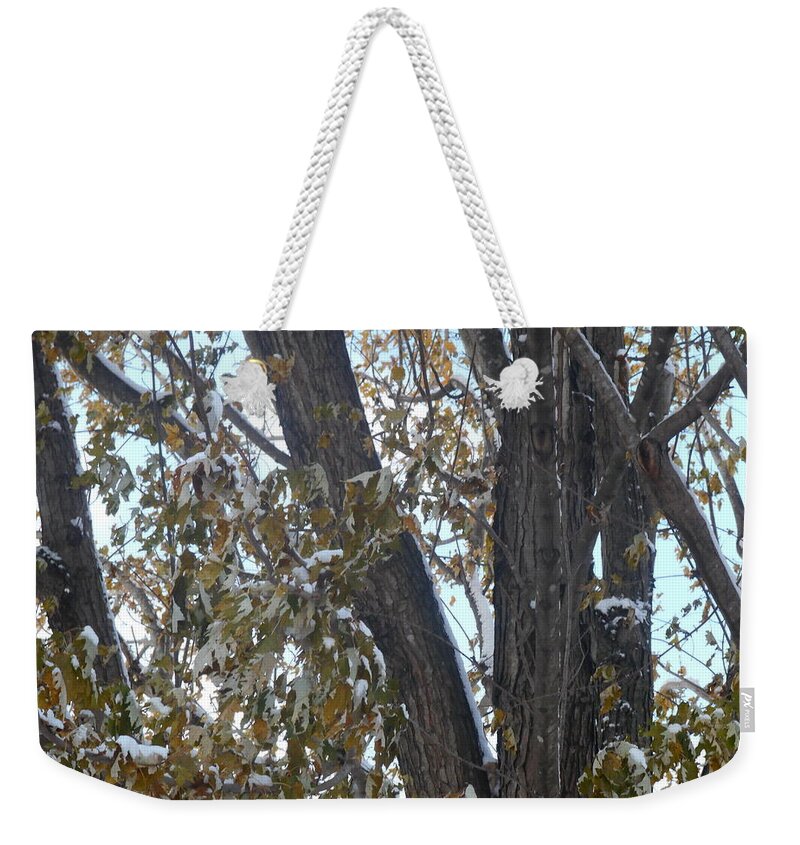 Tree Weekender Tote Bag featuring the photograph Tree Leaves with Snow by Shea Holliman