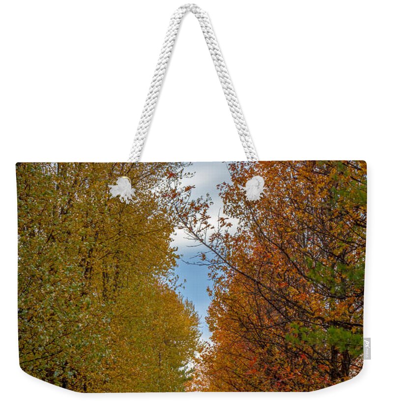 Path Weekender Tote Bag featuring the photograph Tree Lines Path in Fall by Ron Pate