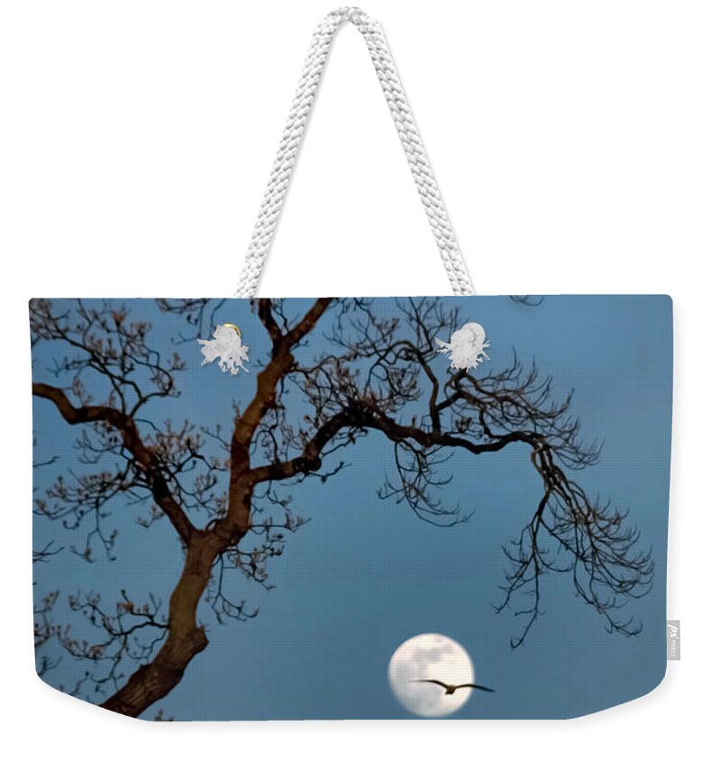 Gull Weekender Tote Bag featuring the photograph Tree Moon Gull by Jerry Gammon