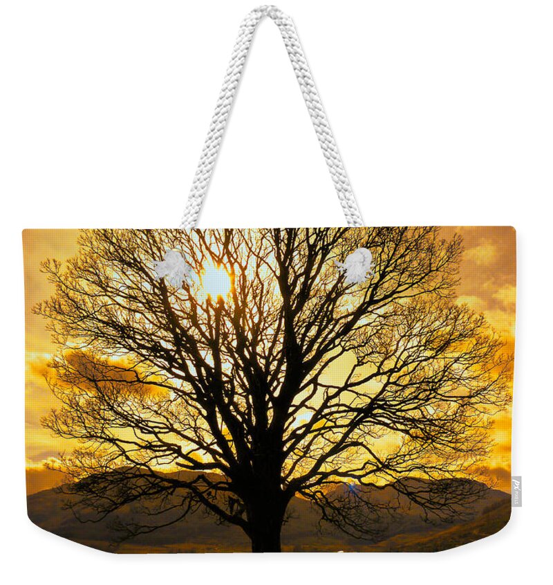 Tree Weekender Tote Bag featuring the photograph Tree of Fire by Lynn Bolt