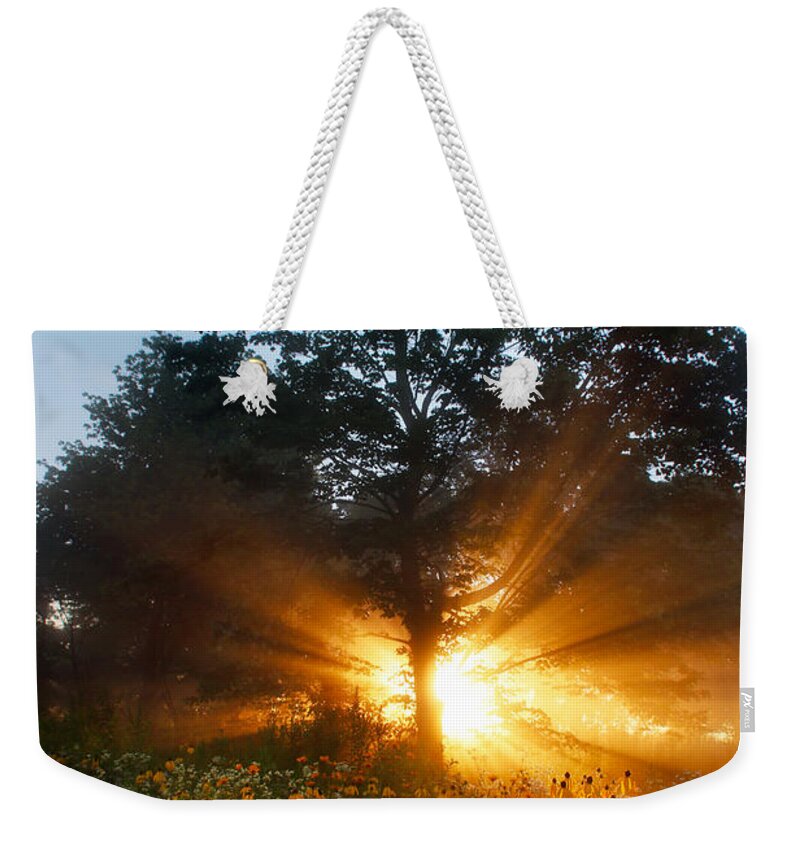 Sunrise Weekender Tote Bag featuring the photograph Tree of Life by Rob Blair