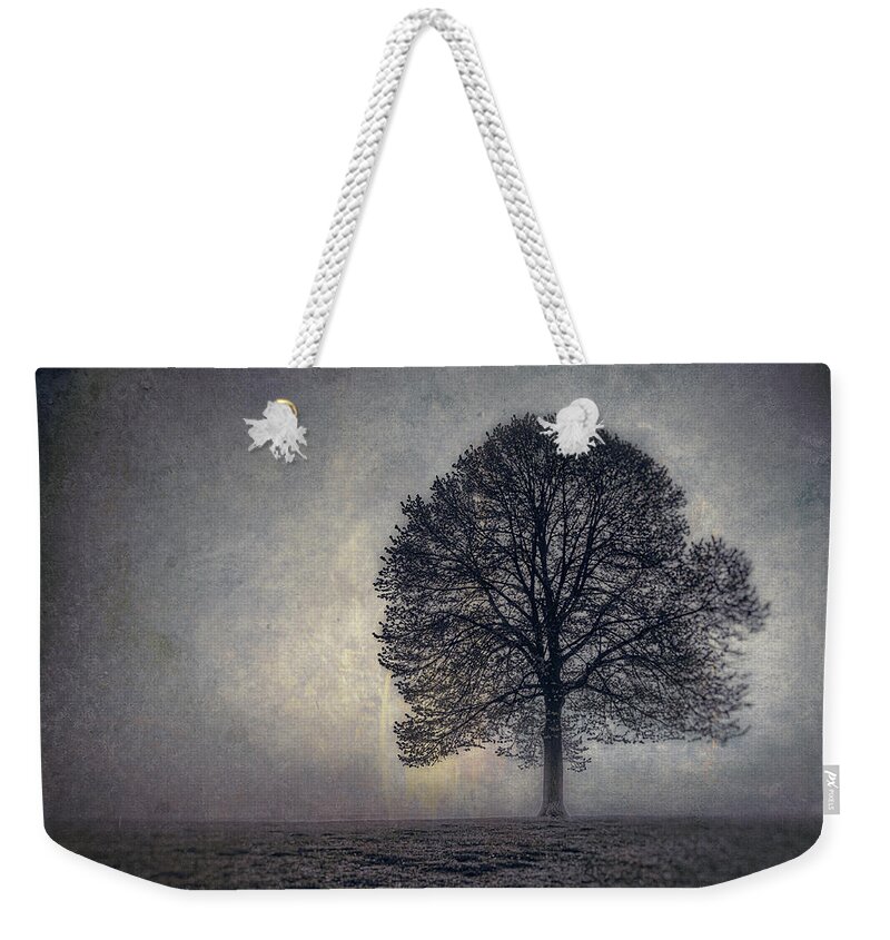 Tree Weekender Tote Bag featuring the photograph Tree of Life by Scott Norris
