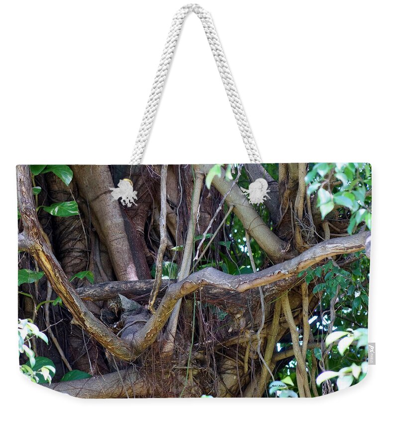 Tree Weekender Tote Bag featuring the photograph Tree by Rafael Salazar