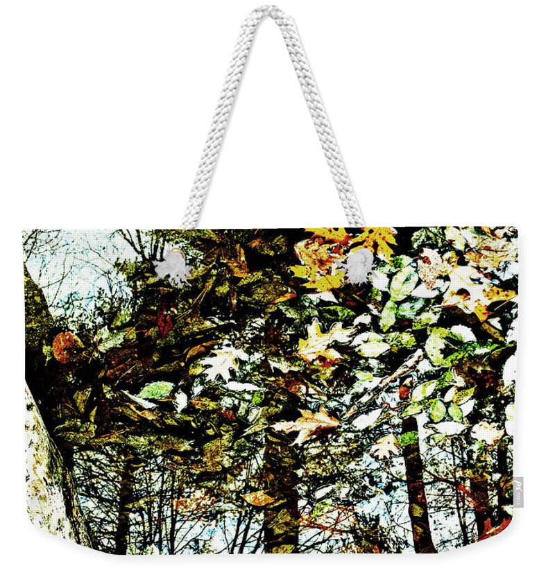 Tree Weekender Tote Bag featuring the photograph Tree Reflected in Leaves by Kevin Fortier