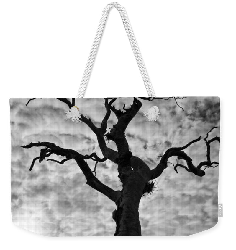 Tree Weekender Tote Bag featuring the photograph Tree Silhouette-Cotton Clouds by Douglas Barnard