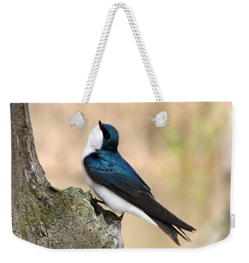 Tree Swallow. Swallow Weekender Tote Bag featuring the photograph Tree Swallow by Ann Bridges