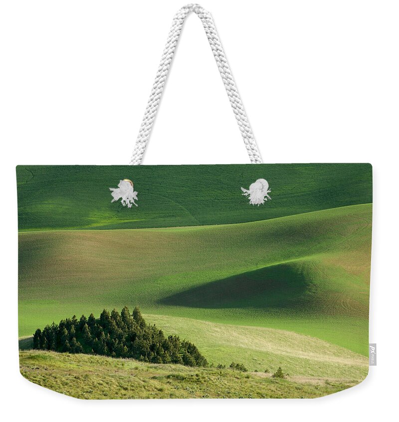 Landscapes Weekender Tote Bag featuring the photograph Triangle and Trees by Mary Lee Dereske